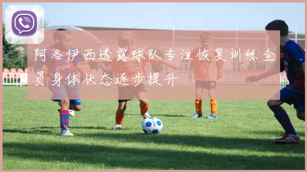 阿洛伊西透露球队专注恢复训练全员身体状态逐步提升